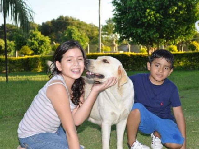 Consejos para tener un perro o gato en una casa con niños