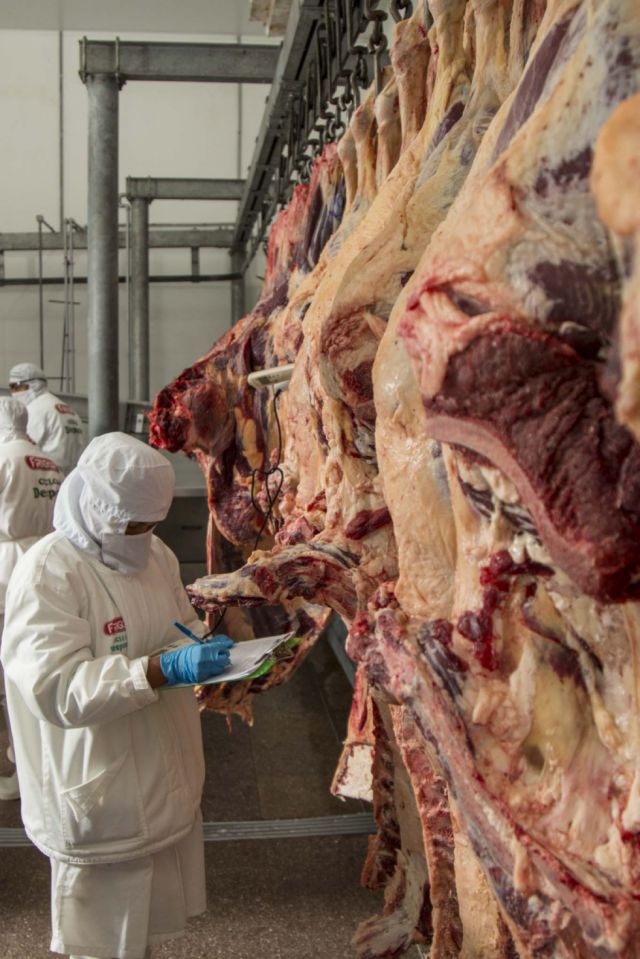 Carne de res: Gobierno controlará frigoríficos