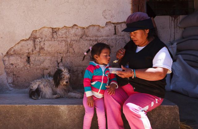 Siete millones de ecuatorianos padecen hambre