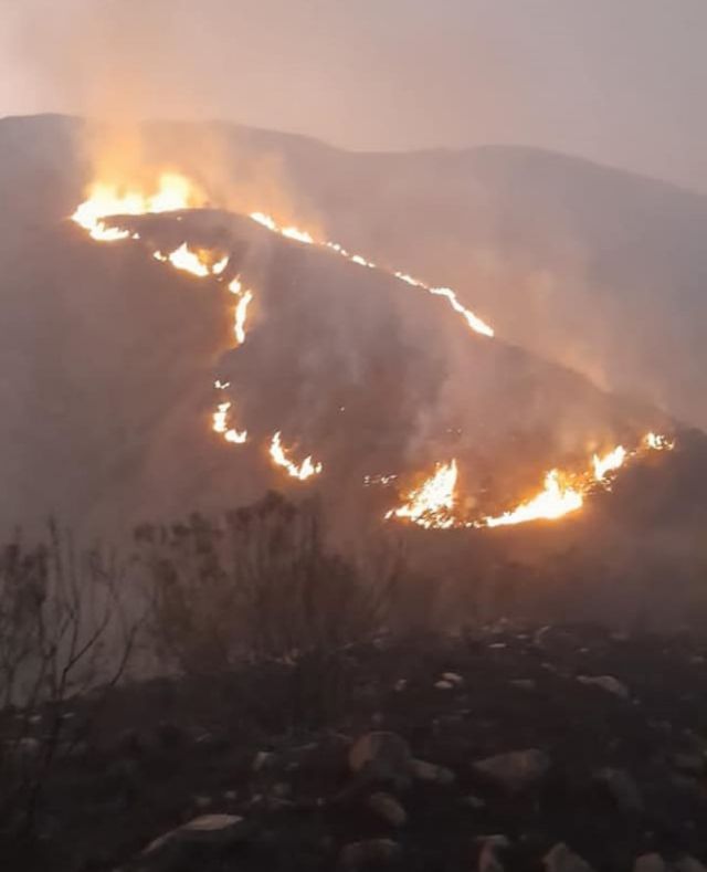 Tarija: Incendios no cesan, hay otro foco en La Victoria