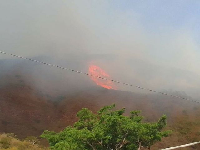 Incendios en Bermejo y Padcaya  continúan avanzando a Tariquía
