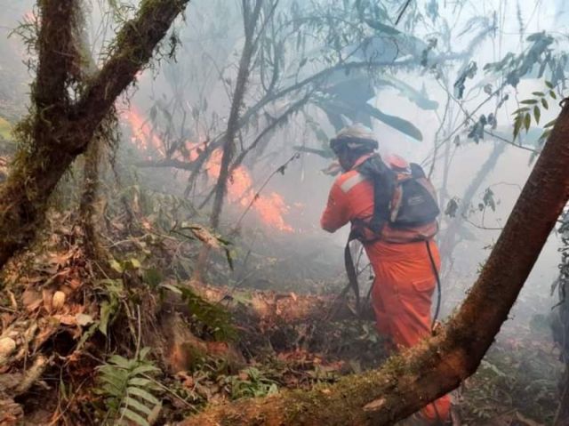 Incendios: Menuda lluvia da alivio en Bermejo y Padcaya