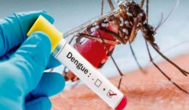 Un brote de dengue en Sudán deja ocho muertos y casi 600 casos confirmados