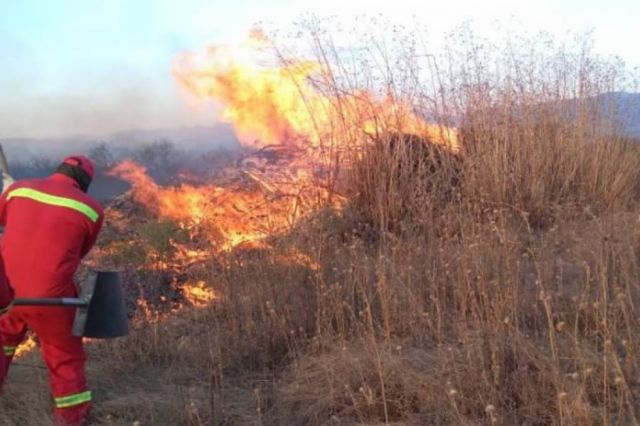 Autoridades no formalizaron denuncias por los incendios en Tarija 