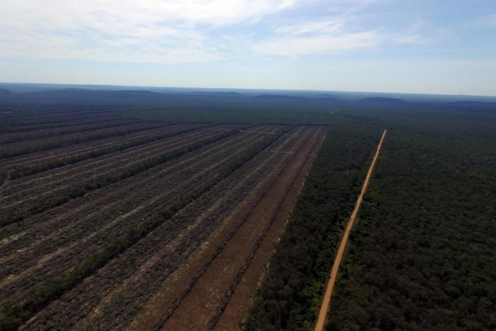 Los desafíos ambientales de Bolivia en 2023: invasiones y deforestación, ríos contaminados, sequías y gestión de áreas protegidas