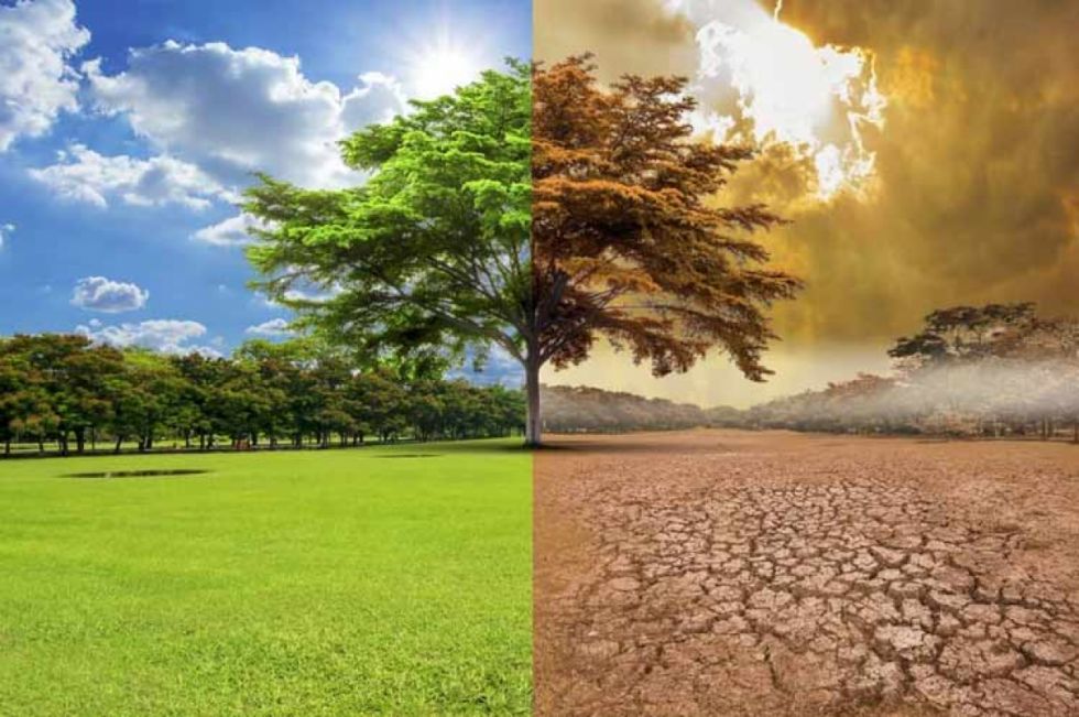 ONU llama a dejar de ignorar la crisis climática