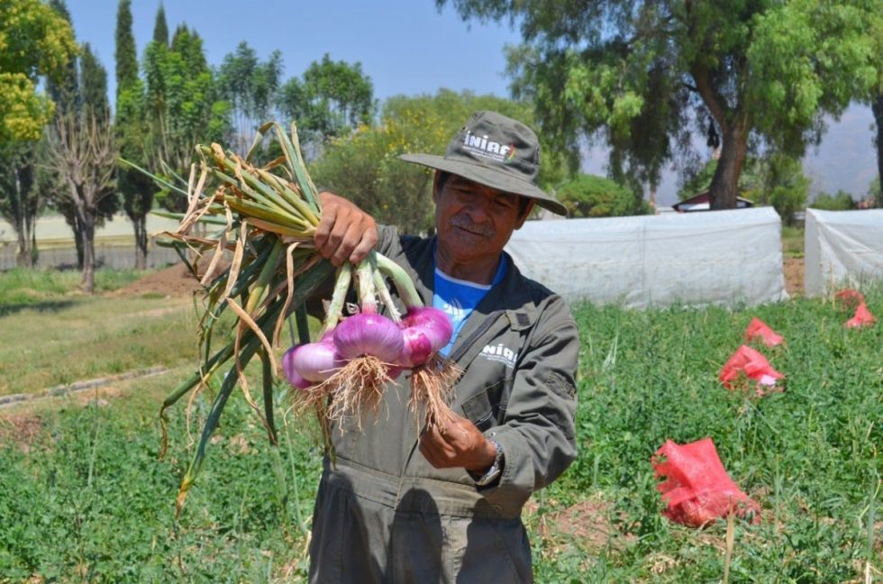 Bolivia deja de importar cerca de 200.000 toneladas de alimentos y bebidas en 2022