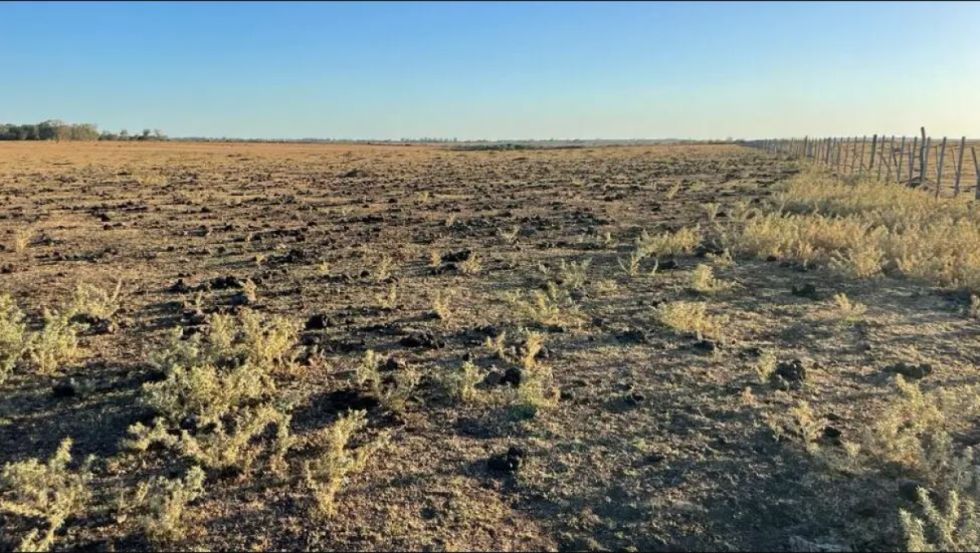 Larga y costosa sequía enfrenta a Argentina con la crisis climática