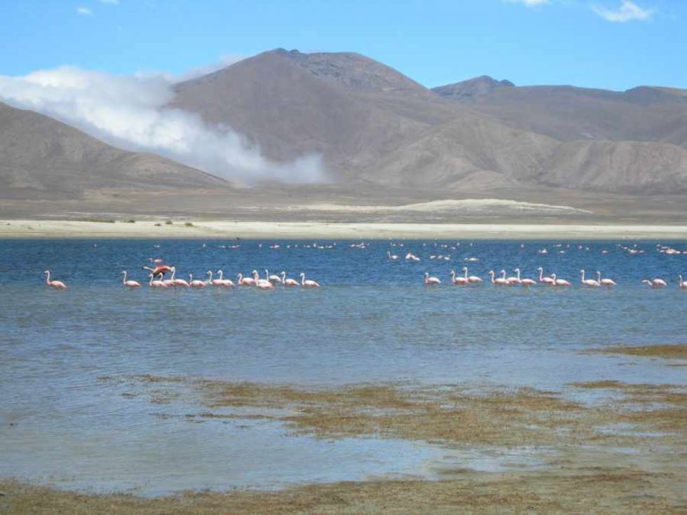 13 municipios y 13.000 damnificados por lluvias