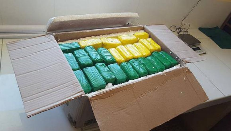 Tarija: La FELCN detecta “narcoencomienda”, hay dos detenidas 