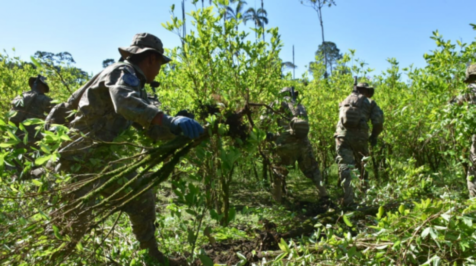 Cocaleros de los Yungas en vigilia