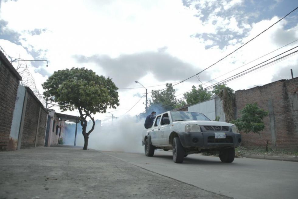 Bolivia: Casos acumulados de dengue llegan a 10.780