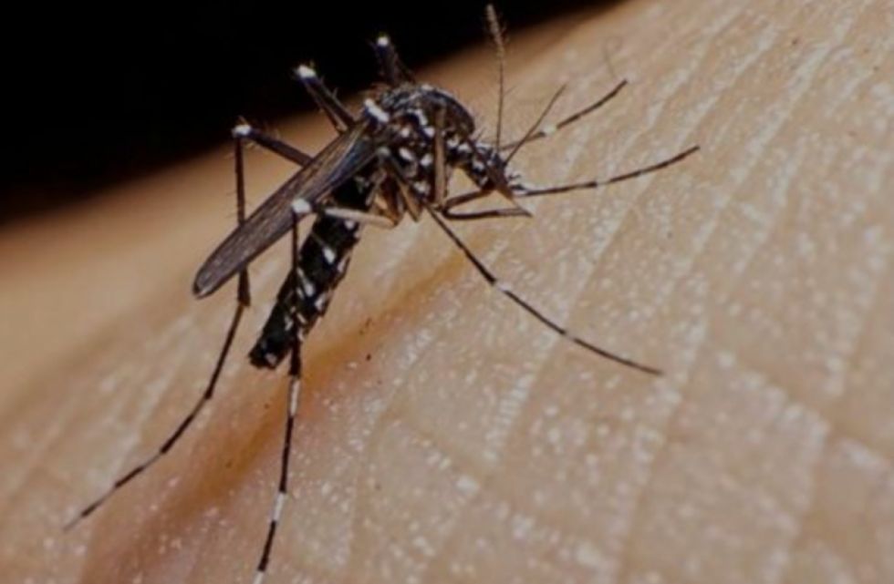 Sedes La Paz niega que bebé haya muerto por dengue