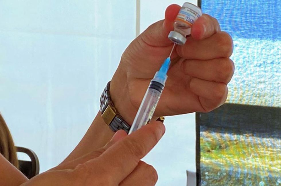 Uruguay vacunará a población aviar contra gripe