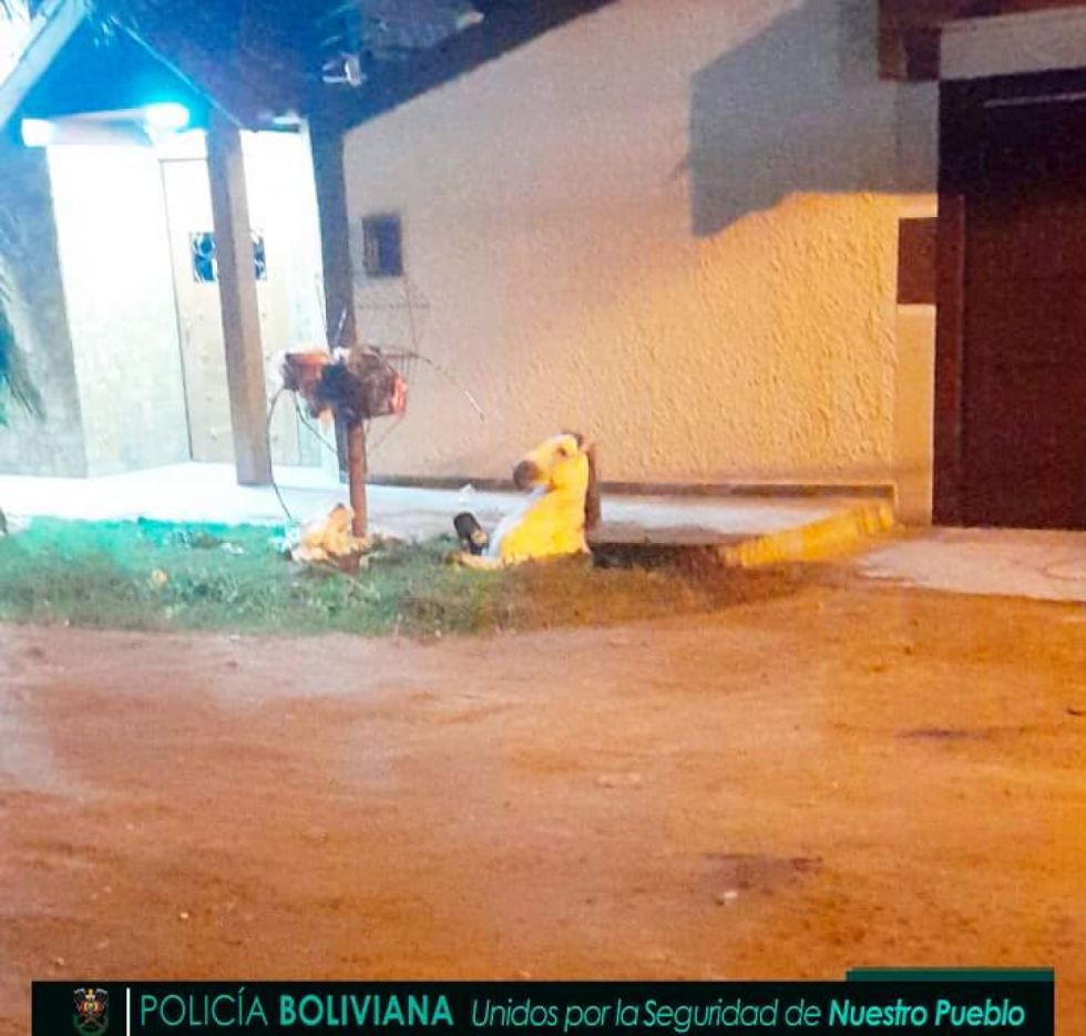 Rescatan a un caballo atrapado en una cámara séptica 