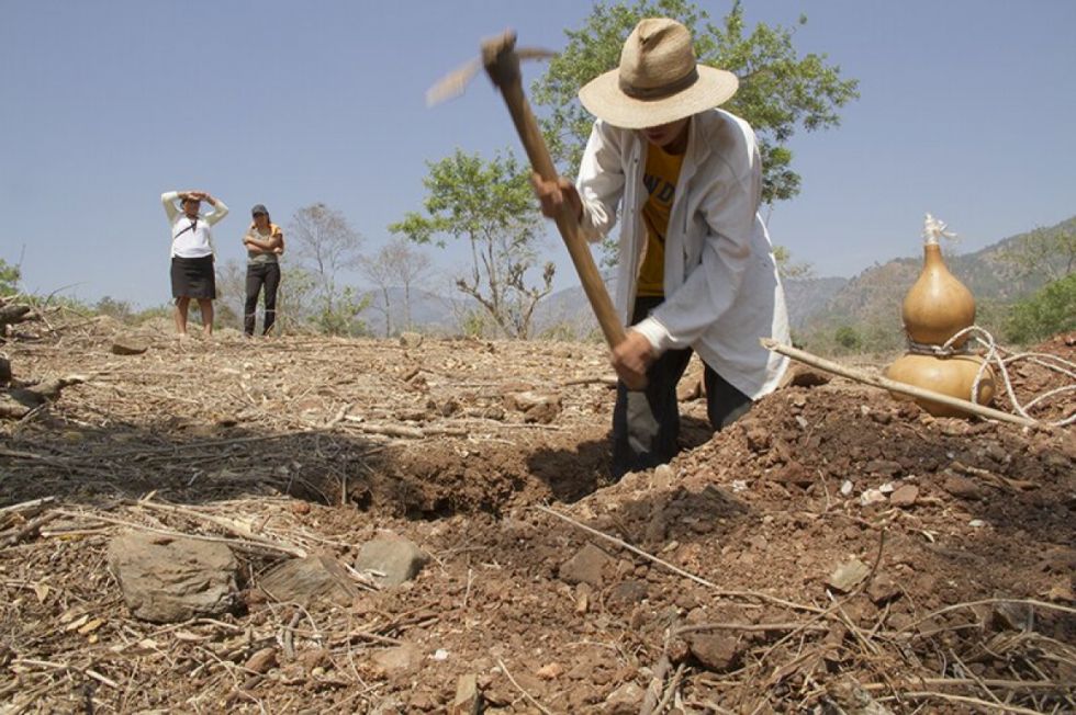 La FAO alerta ante probable amenaza de El Niño