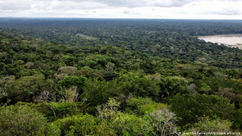 Más de 100 soldados buscan a niños extraviados en Amazonía tras accidente aéreo