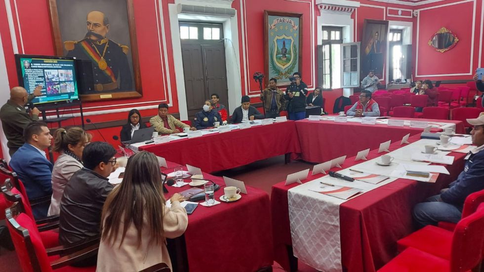Consejo de Seguridad Ciudadana: Alerta por violencia y poco personal