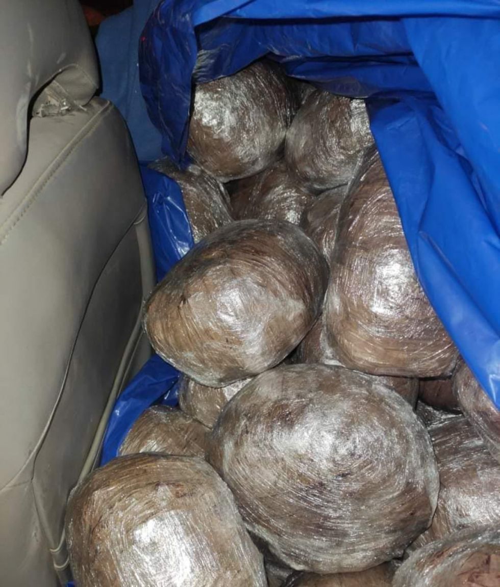 Este 2023, la FELCN halló más de una tonelada de droga en Tarija