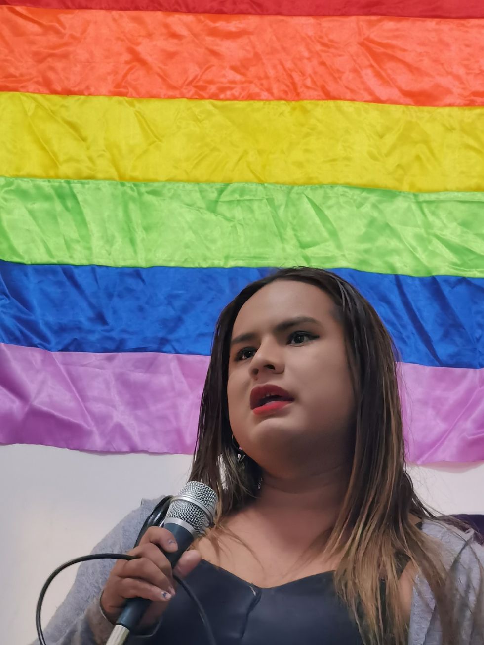 Gilda rememoró su lucha en la Feria de Arte LGBTI