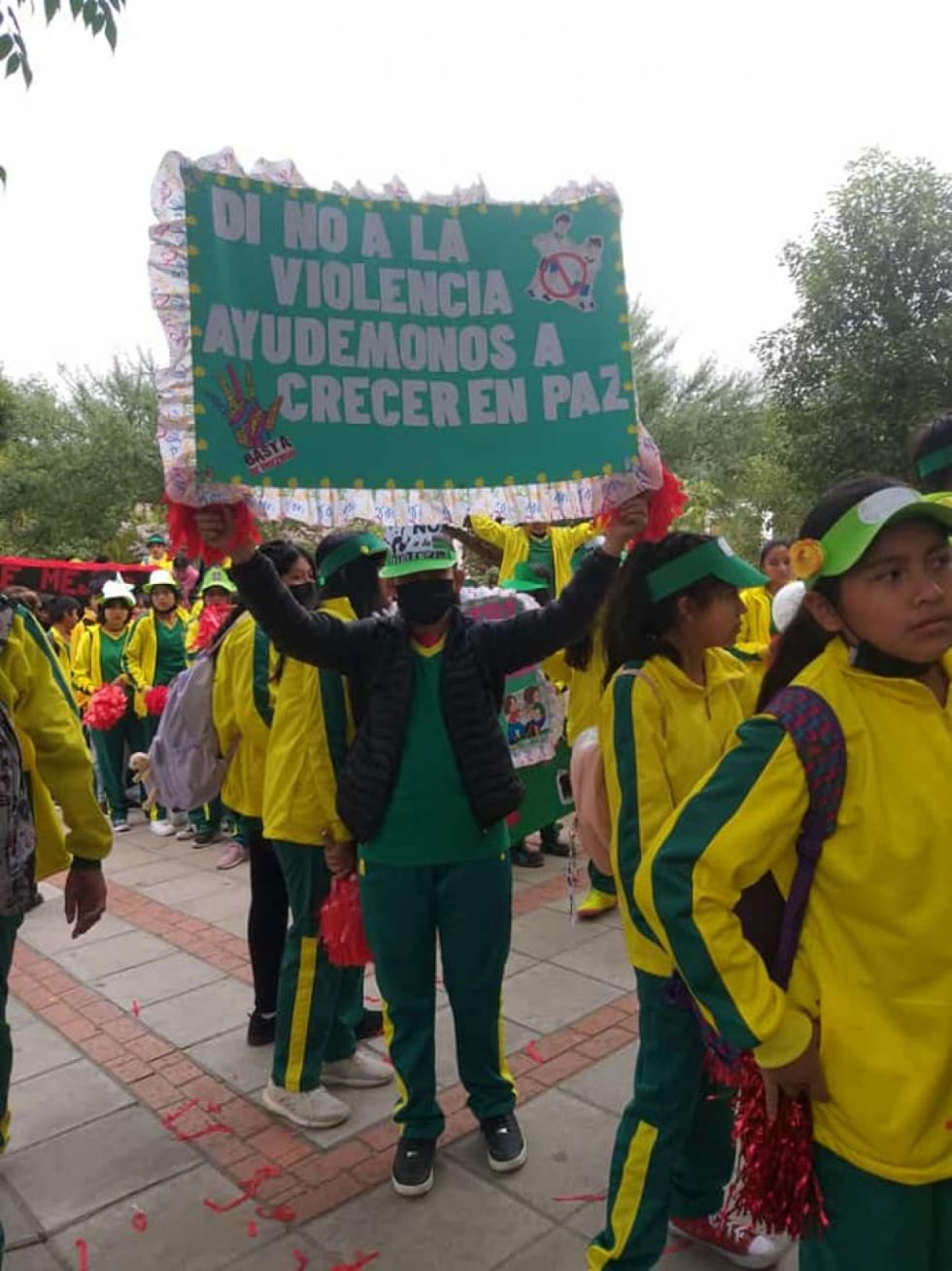 Programa "DINO" recopila 537 denuncias de bullying, violencia familiar y abuso sexual en Tarija