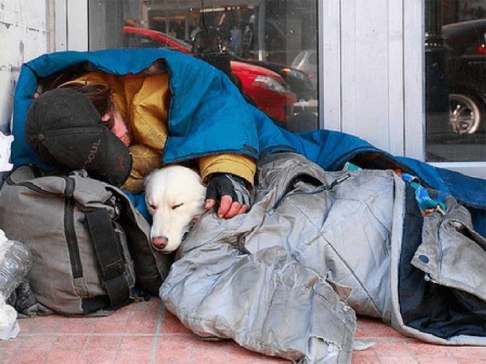 Según la ONU, mil 100 millones de personas son pobres