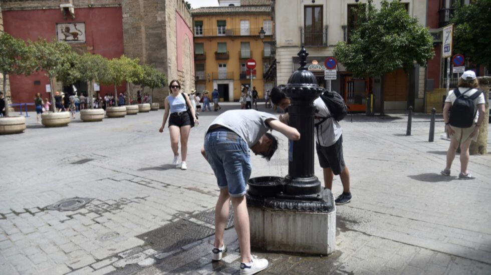 OMS alerta que ola de calor desencadena enfermedades
