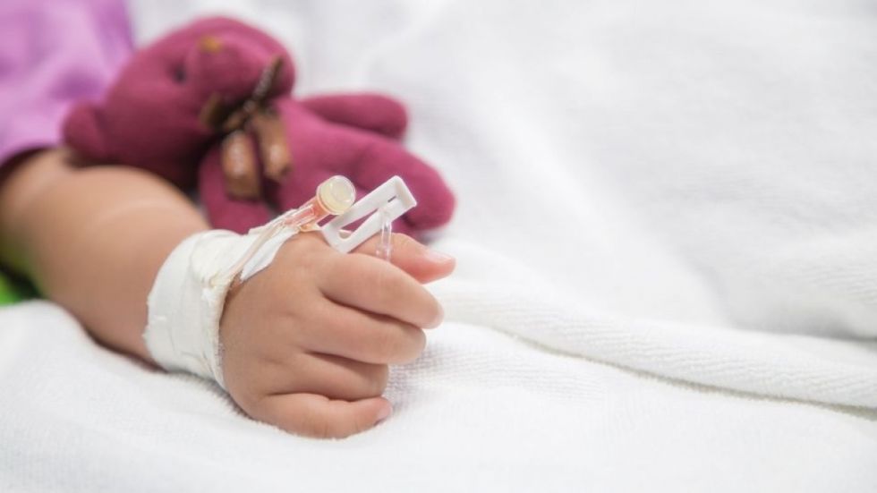 Está en riesgo la vida de la niña mordida por un perro con rabia en Viacha  