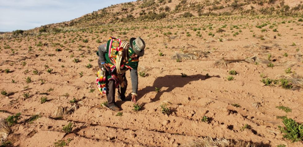 INRA: El 92% de las tierras están saneadas