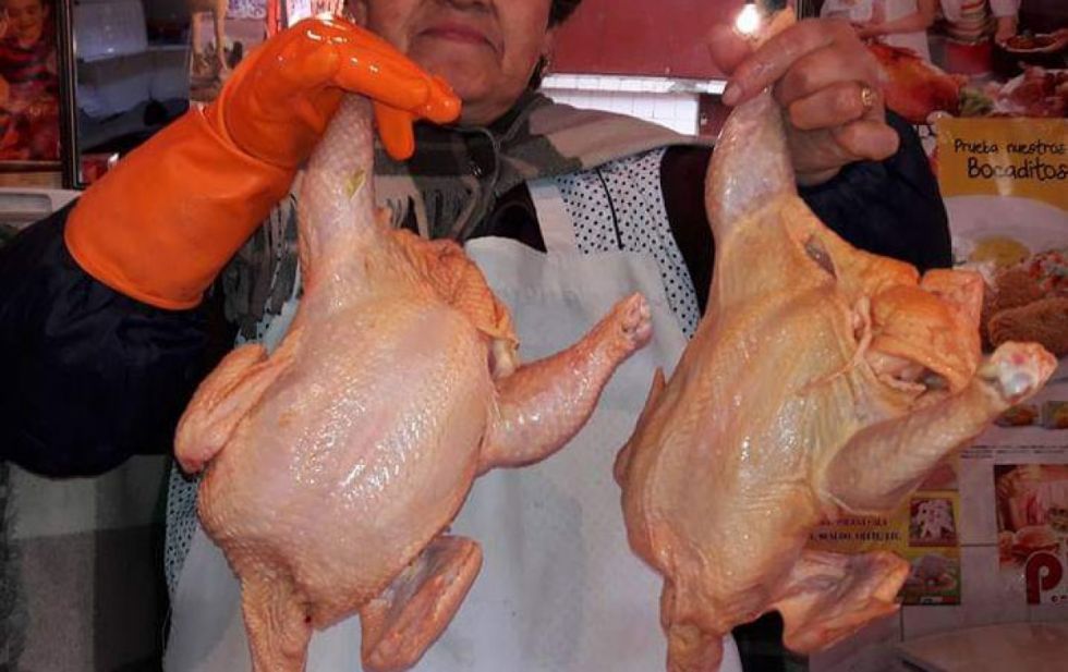Alza del pollo: comercializadores están en emergencia y el Gobierno sospecha de empresarios