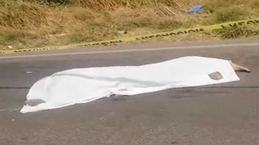 Joven fue atropellado y abandonado en la carretera de San Andrés