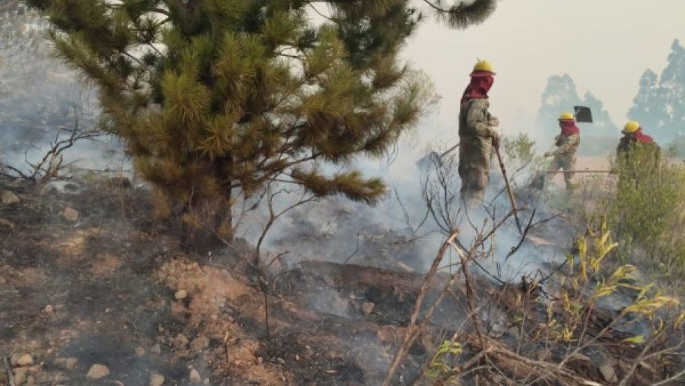 Gobierno asegura que sólo hay un incendio activo en el país, pero existen 714 focos de calor