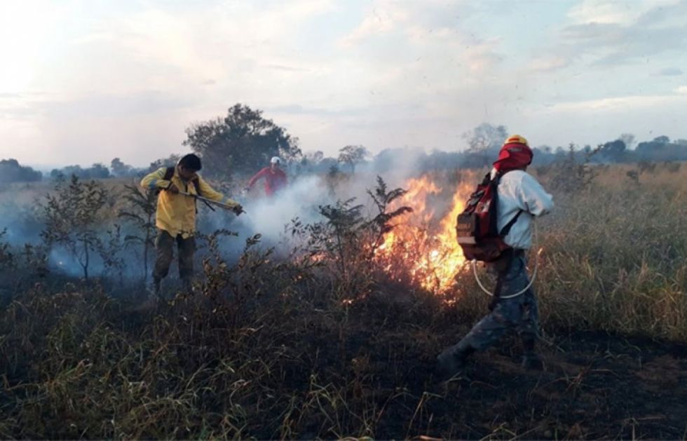 Medio Ambiente reporta 26.635 focos de calor