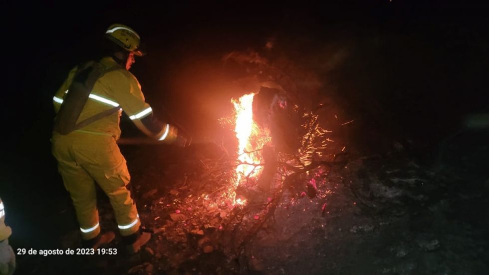 Fogata causa incendio en el Parque Urbano de Tarija 
