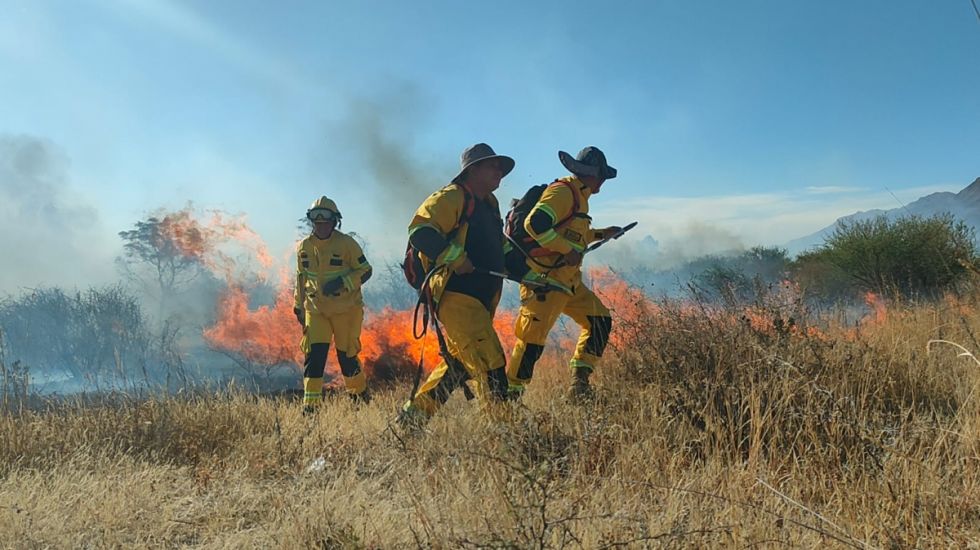 Logran  controlar incendio en Sella Cercado 