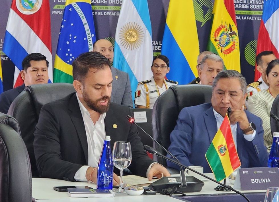 Bolivia plantea desclasificar la coca como estupefaciente