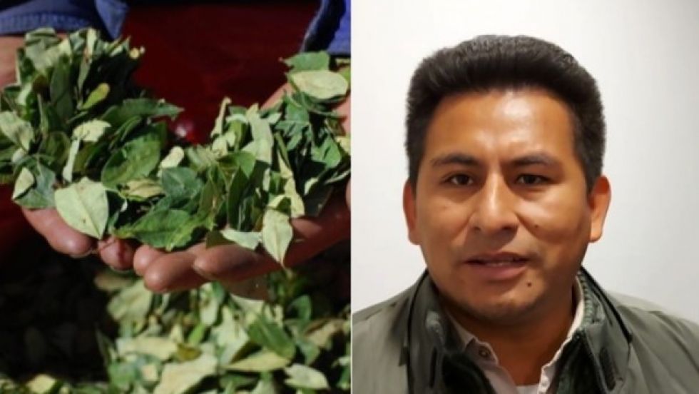Diputado advierte que “incendiarán” al Trópico si les quitan 1.000 hectáreas de producción de coca