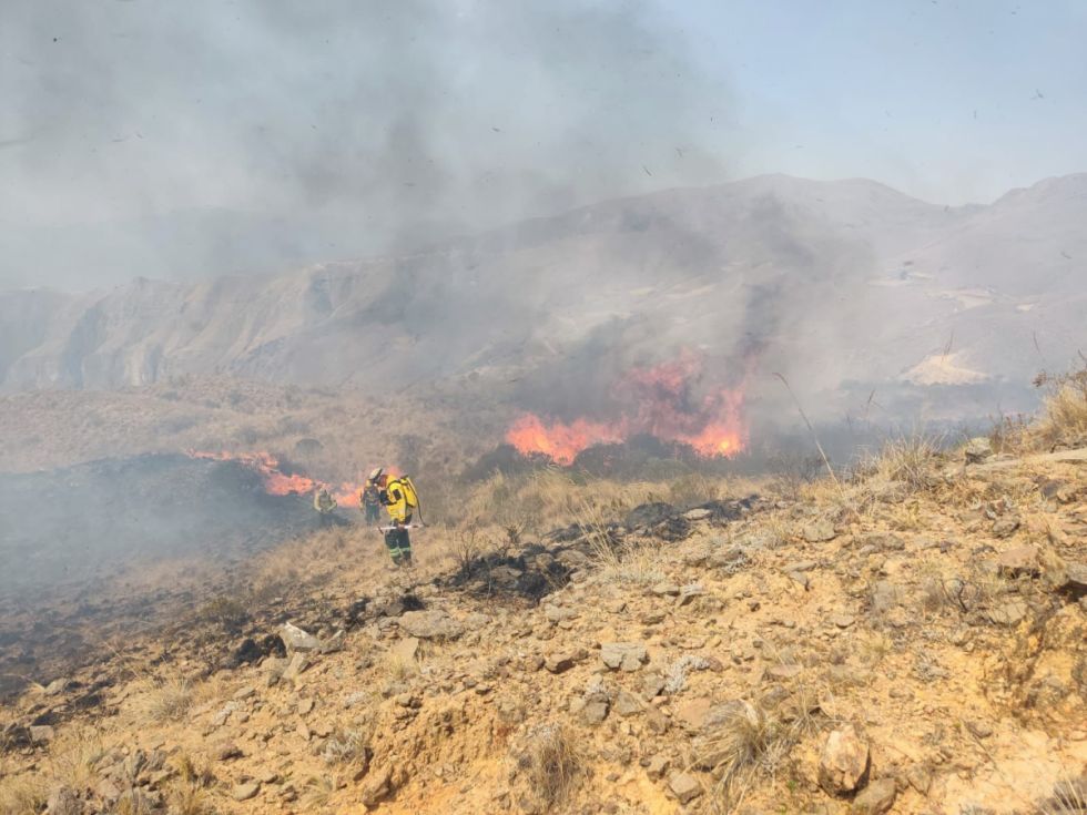 Incendio en la comunidad de Camarón se descontrola por el viento en la zona