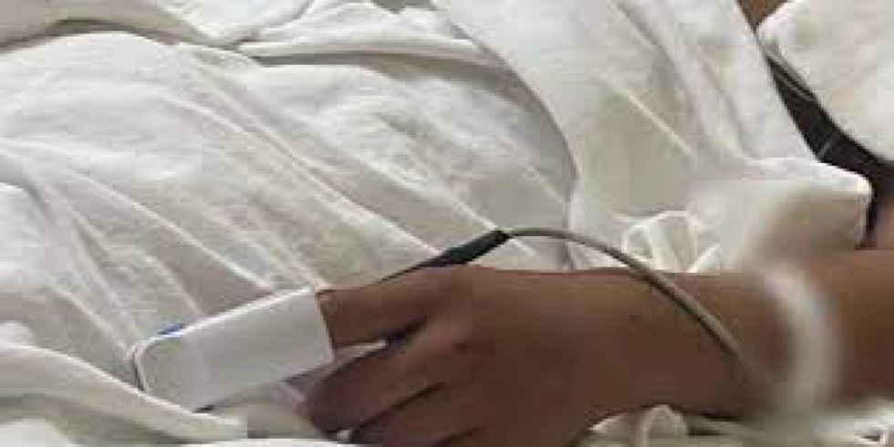 Niño de 13 años muere aplastado por tronco de árbol en su colegio
