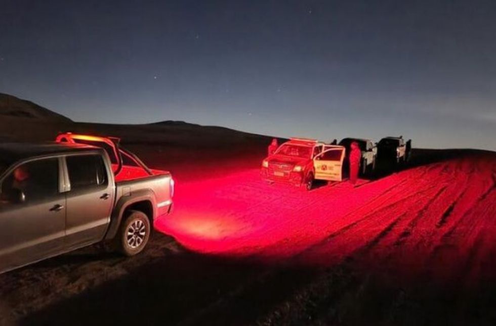 Operativo: 17 detenidos y 6 vehículos robados recuperados en la frontera con Chile  