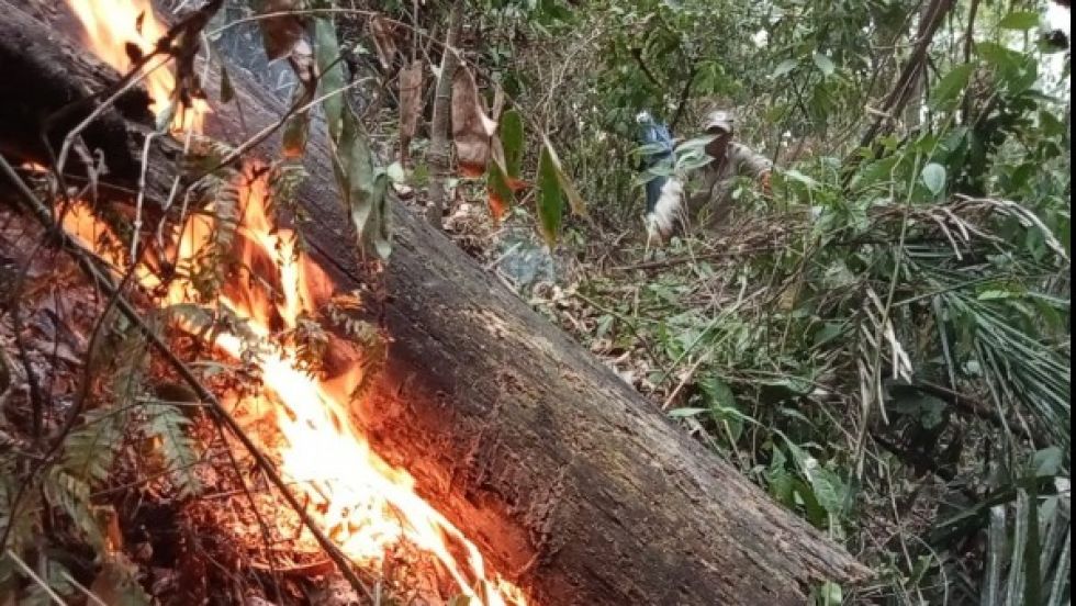 Defensoría insta al Gobierno eliminar leyes incendiarias