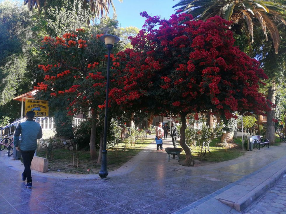 La colorida y agradable plaza de Villa Abecia