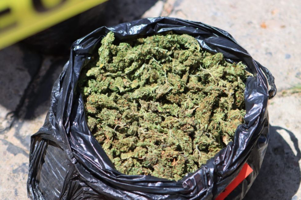 Aprehenden a dos sujetos en posesión de marihuana