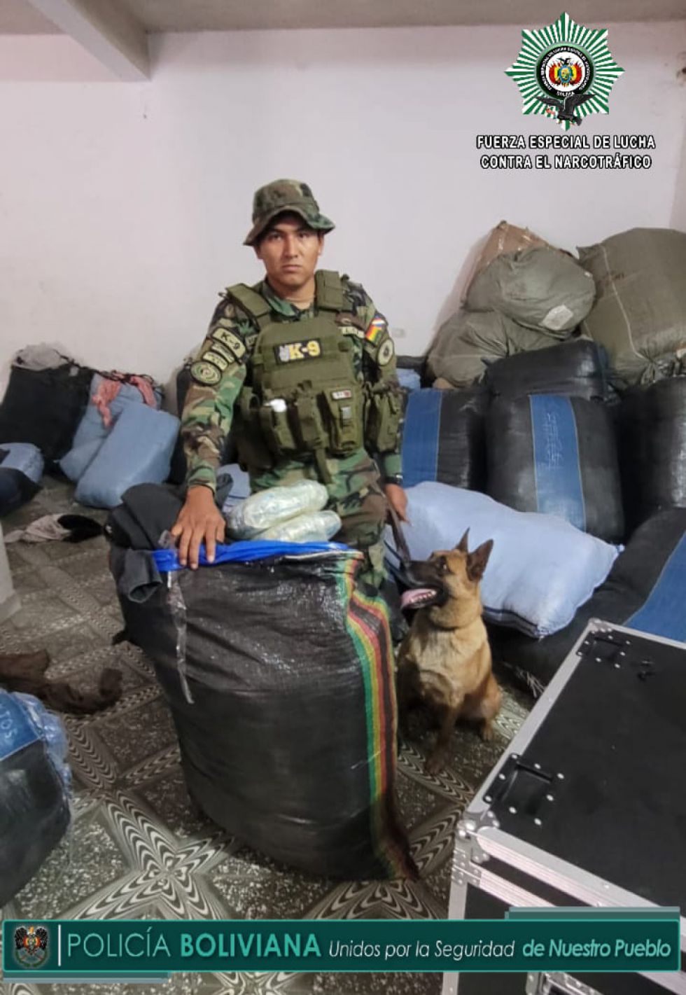 Descubren 42 kilos de marihuana en encomienda del bus Sama en Bermejo