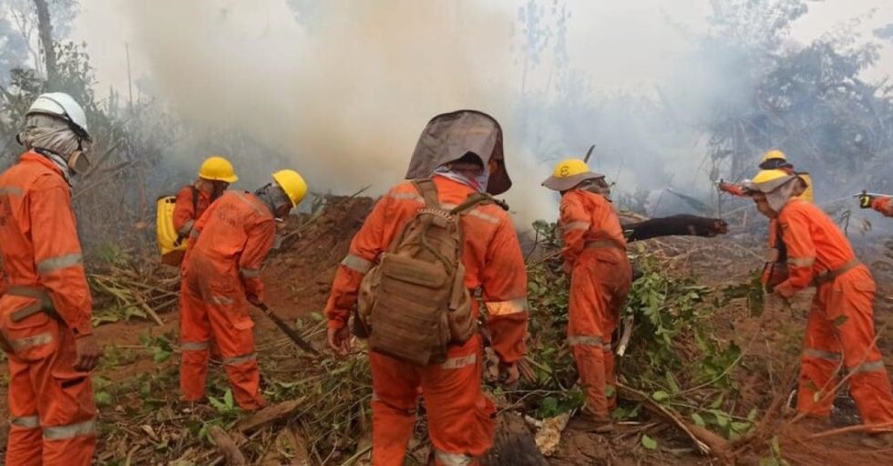 Incendios afectaron a más de 3 millones de hectáreas en el país