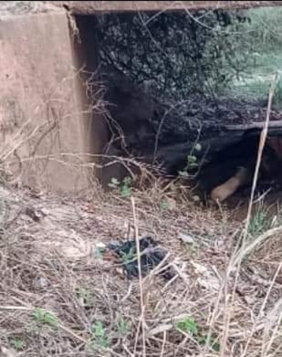 Hallan a un hombre calcinado en Beni