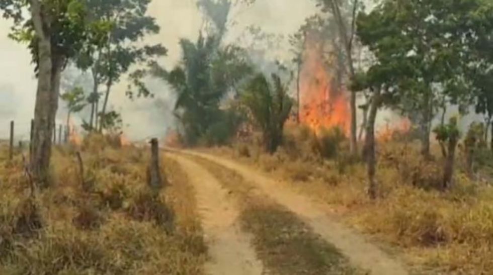Uchupiamonas, desde el Madidi, suplican por ayuda