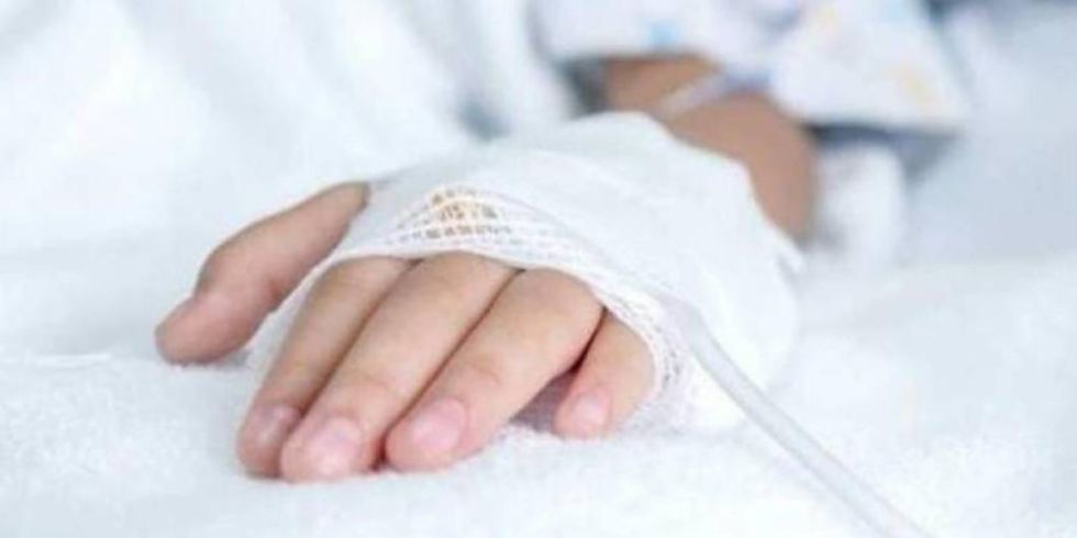 Santa Cruz: Dos niñas fueron picadas por una víbora mientras buscaban leña con su mamá