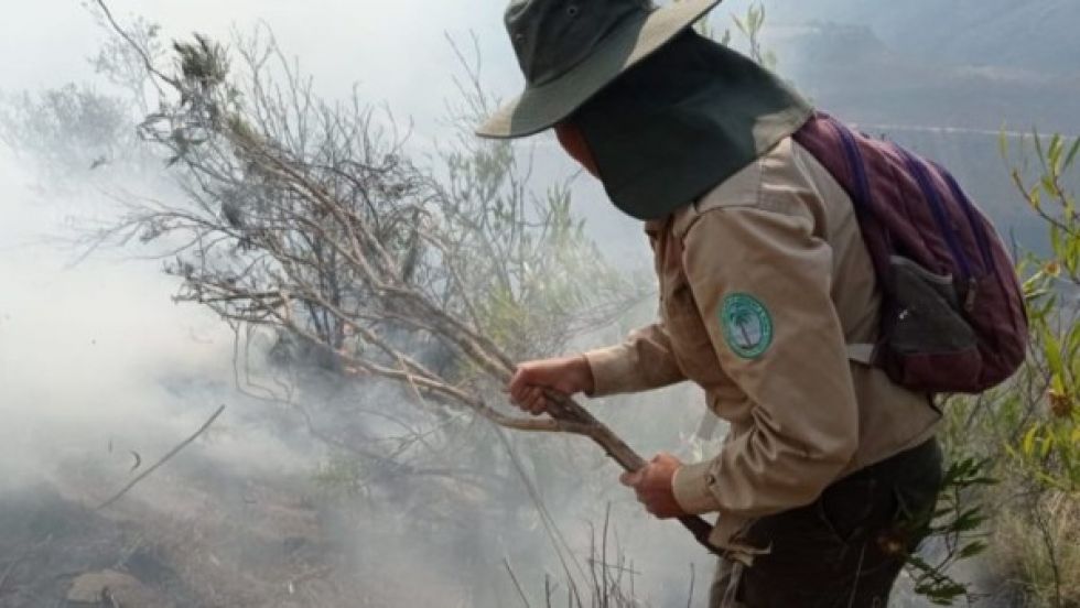 Ante la emergencia por incendios, Sernap prohíbe a guardaparques brindar declaraciones a la prensa