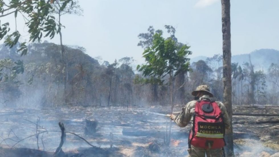 Incendios arrasan con casi 3 millones de ha en Bolivia